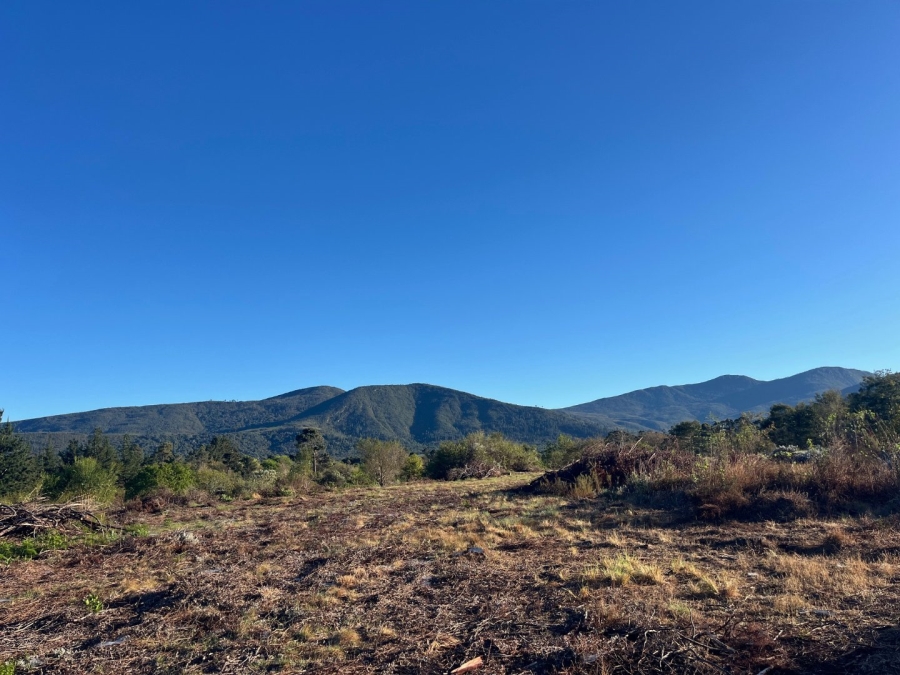 Commercial Property for Sale in Plettenberg Bay Rural Western Cape